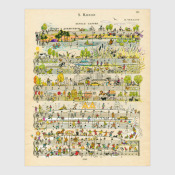 Футболки кенон